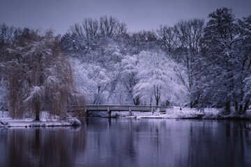 Winterlandschaft in der L&uuml;neburger Heide am fr&uuml;hen Morgen