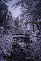 Winterlandschaft in der L&uuml;neburger Heide am fr&uuml;hen Morgen