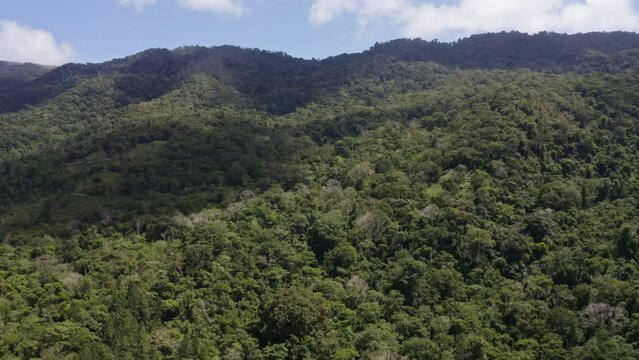 Aerial view of green mountains on a sunny day. Guarapo, Carabobo State. Venezuela