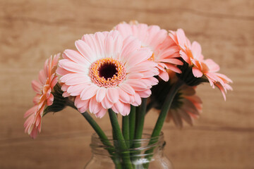 Gerbera Daisy Flowers bacgkround. Isolated on wood bouquet. Dreamy bright floral background. Empty...