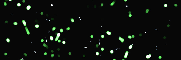 blurred green sparks and particles in front of black backgound