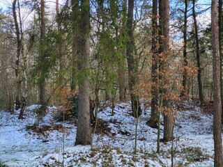 lake in the forest © Beata
