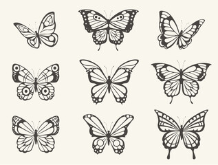 Hand drawn butterfly set. Vintage butterflies sketch, moths insects retro sketches with open wings