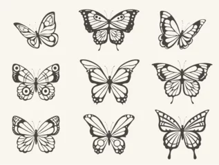 Door stickers Butterflies in Grunge Hand drawn butterfly set. Vintage butterflies sketch, moths insects retro sketches with open wings