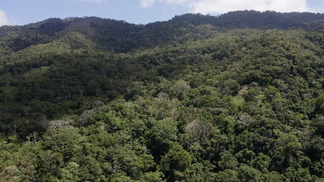 Aerial view of green mountains on a sunny day. Guarapo, Carabobo State. Venezuela