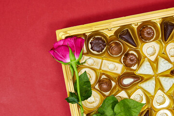 chocolate pieces from various type in box for valentine's day with pink rose flower isolated on red background