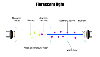 diagram of a florescent light tube