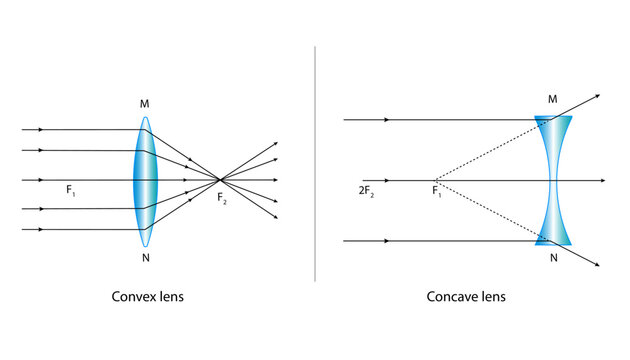 diagram of concave and convex lenses