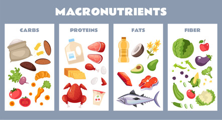 Food protein carbohydrate fiber nutrition macronutrient concept. Vector graphic design illustration