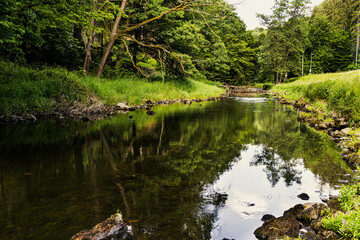 Fototapeta na wymiar Mountain river in summer forest with fallen tree.
