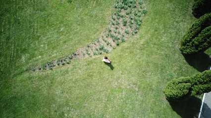 A girl runs through a meadow lawn Tuscany summer scarlet ribbon