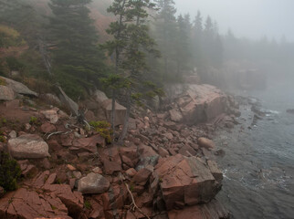 Rocky steep shore of the ocean and pine trees on the shore in the fog. Atlantic Ocean. USA. Maine. Acadia National Park.. panoramic photo