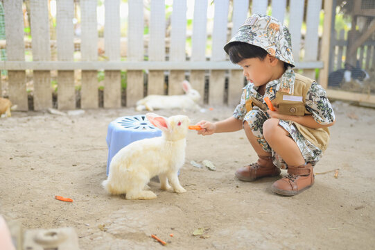 Asian little boy feeding white rabbit with carrot in zoo