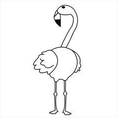 Cute vector flemish single and with couple bird cartoon illustration art.