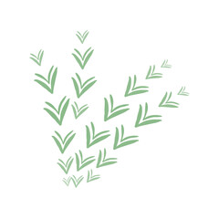 Watercolor flowers and leaves transparent background PNG 300DPI 