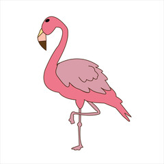 Cute vector flemish single and with couple bird cartoon illustration art.