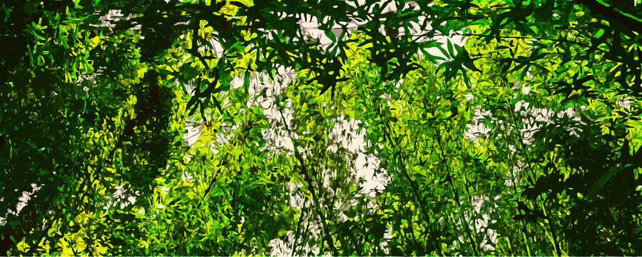 fullcolour background design of bamboo clump