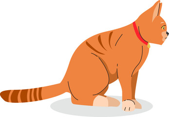 Orange cute cat animal flat illustration design