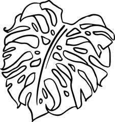 Monstera tropical green leaf drawing. Exotic nature palm plants theme illustration, decorative vector element for logo design, postcard, party invitation deco, restaurant menu, spa salon. Hand drawing