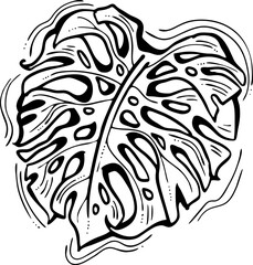 Monstera tropical green leaf drawing. Exotic nature palm plants theme illustration, decorative vector element for logo design, postcard, party invitation deco, restaurant menu, spa salon. Hand drawing