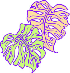 Monstera tropical green leaf drawing. Exotic nature palm plants theme illustration, decorative vector element for logo design, postcard, party invitation deco, restaurant menu, spa salon. Hand drawing