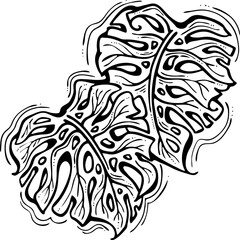 Monstera tropical green leaf drawing. Exotic nature palm plants theme illustration, decorative vector element for logo design, postcard, party invitation deco, restaurant menu, spa salon. Hand drawing