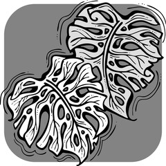 Monstera tropical green leaf drawing. Exotic nature palm plants theme illustration, decorative vector element for logo design, postcard, party invitation deco, restaurant menu, spa salon. Hand drawing