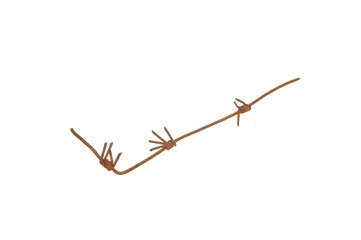 barbed wire isolated on white background