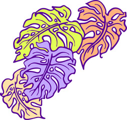 Monstera tropical green leaf drawing. Exotic nature palm plants theme illustration, decorative vector element for logo design, postcard, party invitation deco, restaurant menu, spa salon. Hand drawing