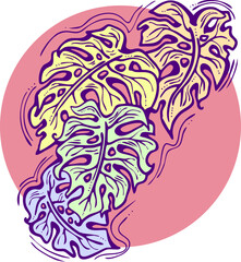 Monstera tropical green leaf drawing. Exotic nature palm plants theme illustration, decorative vector element for logo design, postcard, party invitation deco, restaurant menu, spa salon. Hand drawing