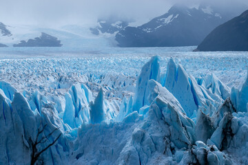 Glaciar Perito Moreno. Patagonia Argentina - obrazy, fototapety, plakaty