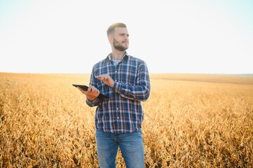 farmer agronomist in soybean field checking crops before harvest. Organic food production and cultivation.