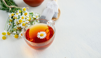 a cup of herbal chamomile tea and fresh chamomile, camomile flowers