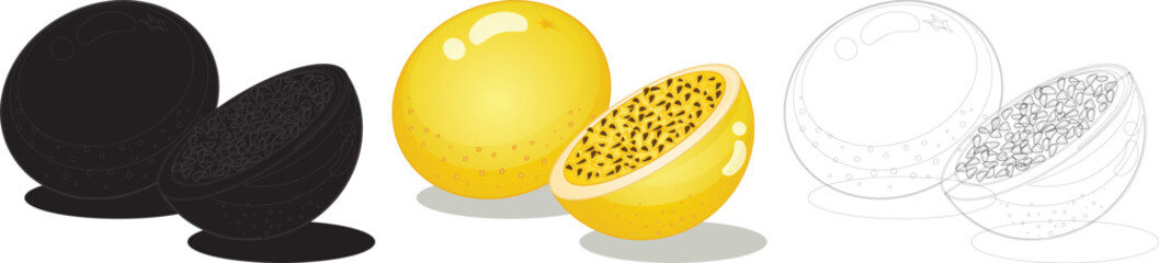  Passionfruit design illustration Vector