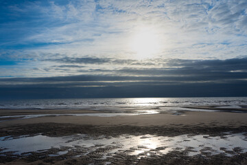 Seagulls flying at sunset. Seagulls flying over the sea in the blue sky