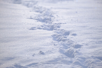 Footprints in the snow, close-up. Winter background.