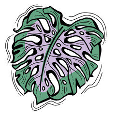 Monstera tropical green leaf drawing. Exotic nature palm plants theme illustration, decorative element for logo design, postcard, party invitation deco, restaurant menu, spa salon. Hand drawing.