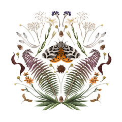 Illustration with butterfly, fern and flowers. Vector.