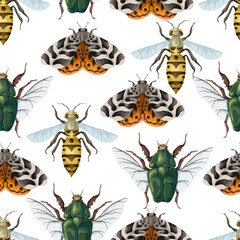 Seamless pattern with wasp, cockchafer, butterfly. Vector.