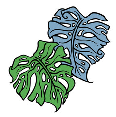 Monstera tropical green leaf drawing. Exotic nature palm plants theme illustration, decorative element for logo design, postcard, party invitation deco, restaurant menu, spa salon. Hand drawing.