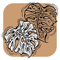 Monstera tropical green leaf drawing. Exotic nature palm plants theme illustration, decorative element for logo design, postcard, party invitation deco, restaurant menu, spa salon. Hand drawing.