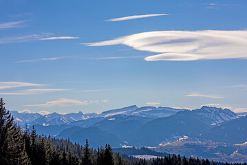 Steinadler - Allgäu - Hinterstein 