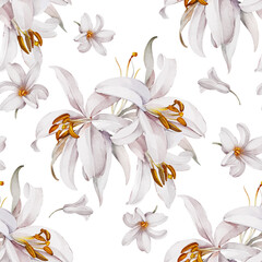 Bouquet of lilies on a white background.  Seamless watercolor pattern