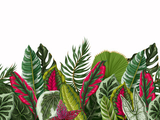 Border with tropical leaves on the white background. Vector.