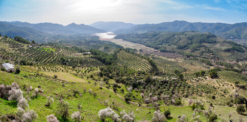 Fototapeta na wymiar Olive trees plantations and Tranco reservoir from Segura de la Sierra village, Spain