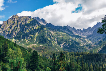 Beautiful summer landscape of High Tatras, Slovakia - lush forest, mountains and clouds on the sky