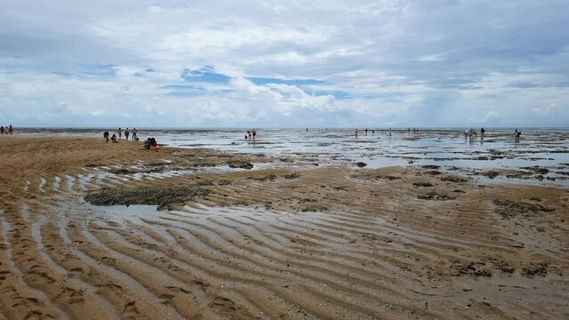 View of the corals of Coroa Vermelha beach, tourist destination of Bahia state. Santa Cruz Cabralia city - BA.