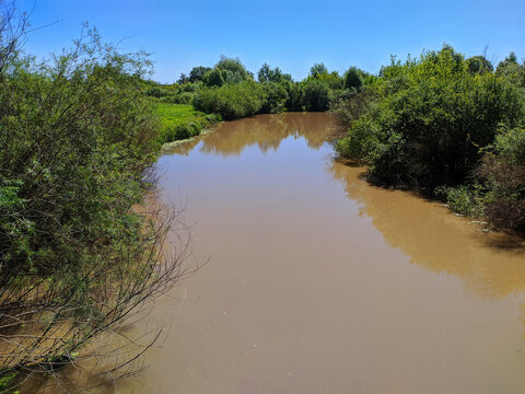 dirty brown river water in spring