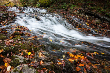 Mountain stream in autumn, stream in the forest.
