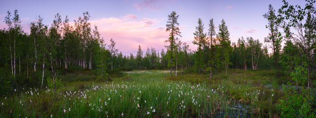 Summer panorama landscape, north, siberian, tundra. Vacation travel concept